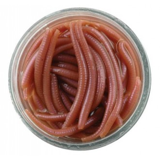 Žížala Berkley Gulp hnojňák 5cm 60ks