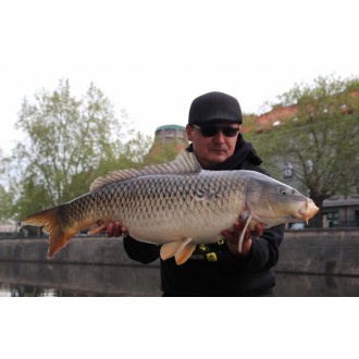 Boilies Mivardi Rapid Easy Catch Česnek & Chilli 3300g