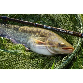 Prut Giants Fishing Gaube Medium Method Feeder 3,60m 40-90g