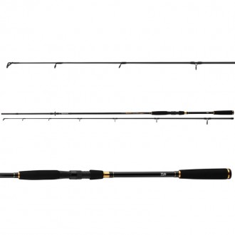 Prut Daiwa Sweepfire Spin 2,40m 10-40g