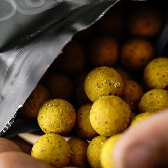 Boilies Munch Baits Citrus Nut Boilies 1kg