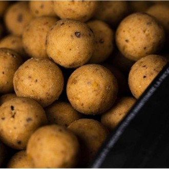 Boilies Mainline Shelf Life Boilies 20mm 1kg