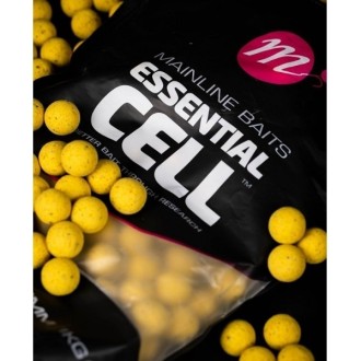 Boilies Mainline Shelf Life Boilies 20mm 1kg