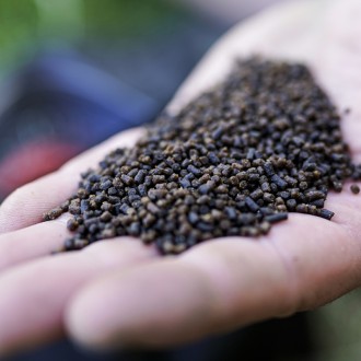 Pelety Munch Baits Salmon Micro Pellets 2 L