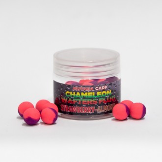 Nástraha Motaba Carp Wafters Chameleon Fluo 8mm 25g