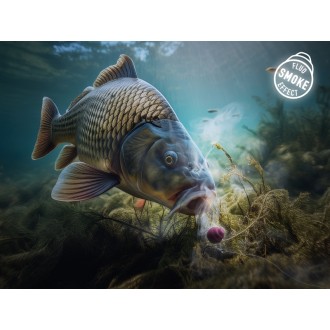 Neutrálně vyvážená nástraha Delphin D Snax Shell Scopex - Vanilka 30g rozpustné
