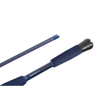 Prut Delphin Fyord BigBoat 2,00m 300-400g