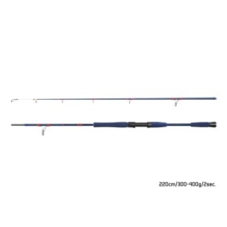 Prut Delphin Fyord BigBoat 2,00m 300-400g