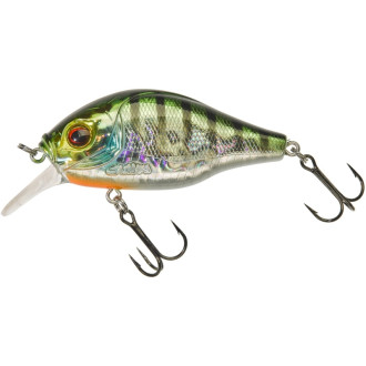 Dogora 6,5cm F Sun Perch