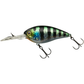 Digle 4+ 7cm Aurora Bleak