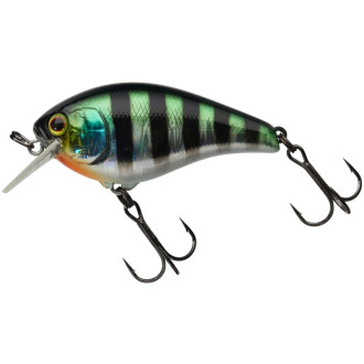 Aska 6cm SR Aurora Bleak