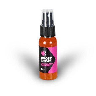 Posilovač Feeder Expert Boost Spray 30ml