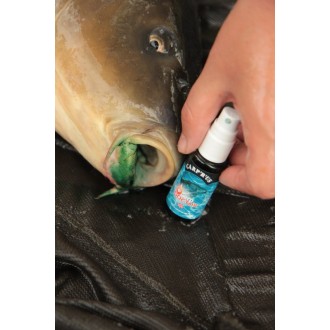 Desinfekce Carp ´R´ Us Carp Doctor 30ml